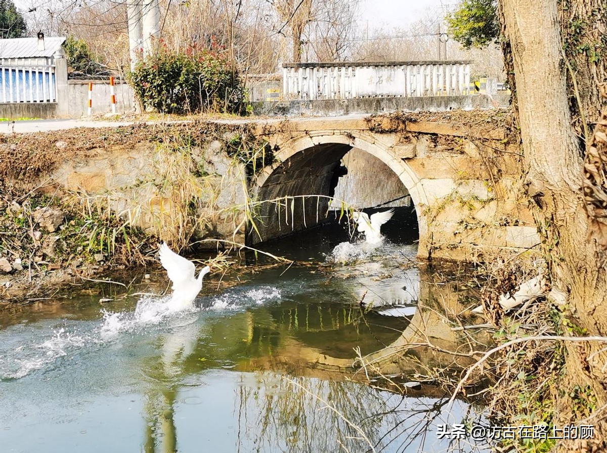 常州古桥镇,常州单孔古桥