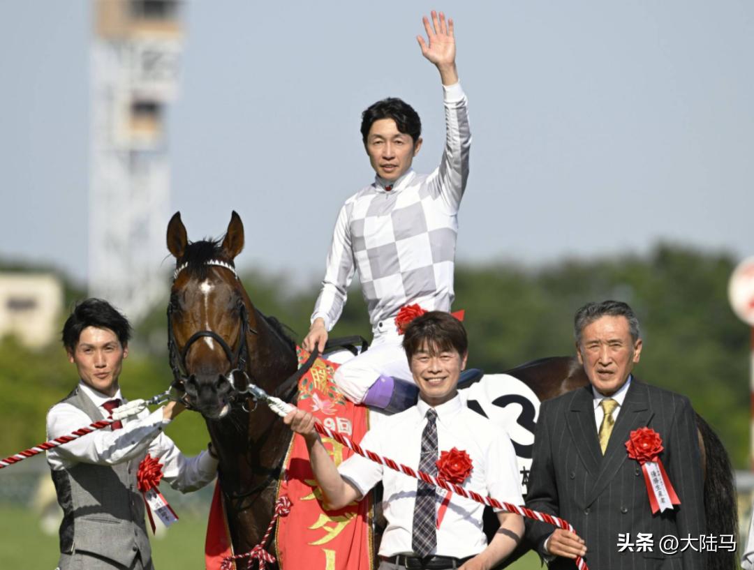 因中国要扫健康码,53岁日本“国宝”骑师买了人生第一部智能手机