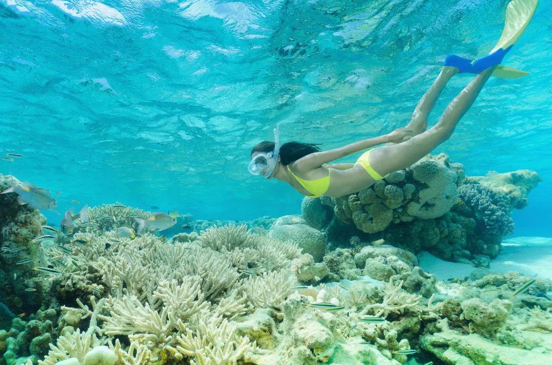富饶的西沙群岛海底视频,西沙群岛最大岛屿是哪个