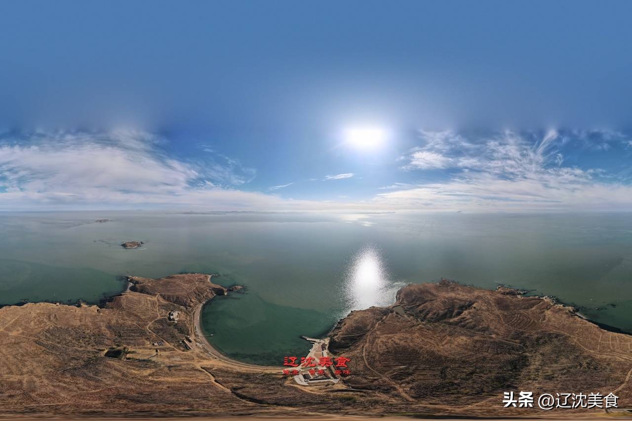 獐子岛海鲜有什么,獐子岛美味海参