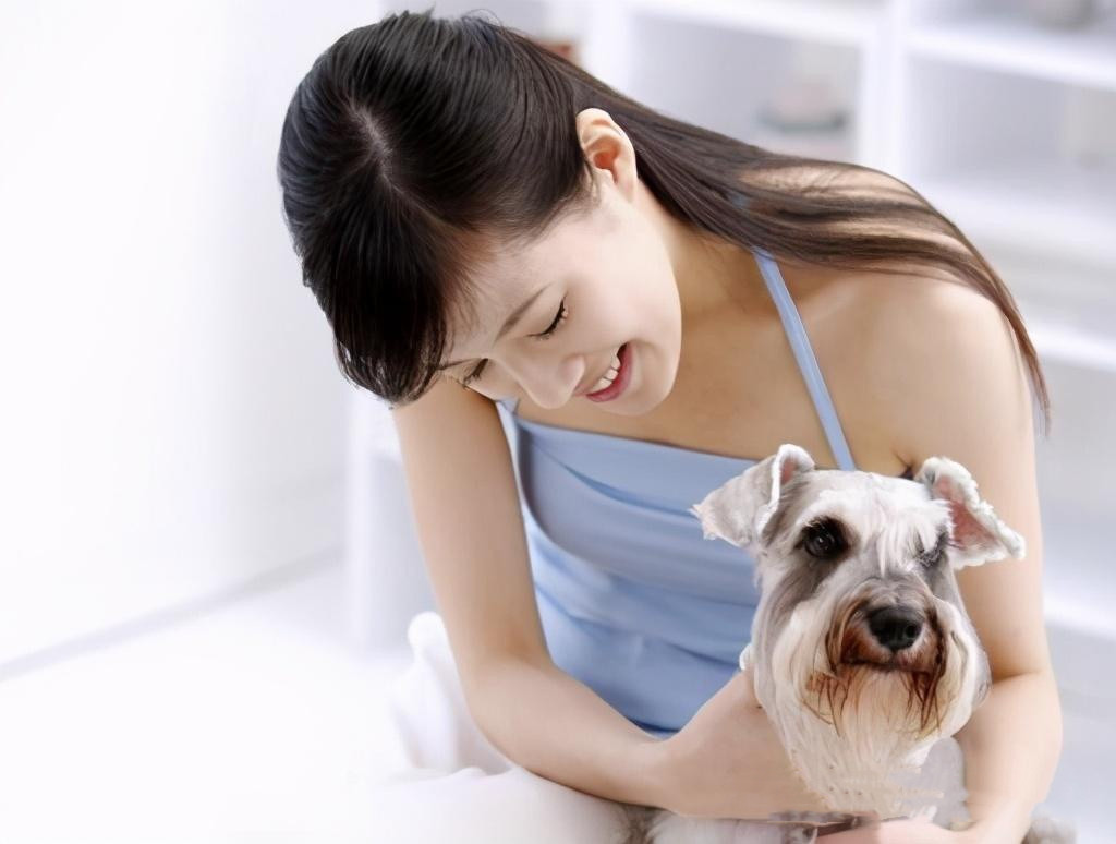 中华十大名犬品种大全,中国四大名犬的品种