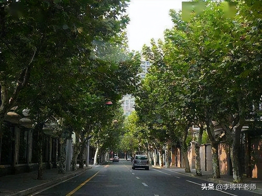 白蚁袭击刘畊宏,刘畊宏家里直播飞进白蚁