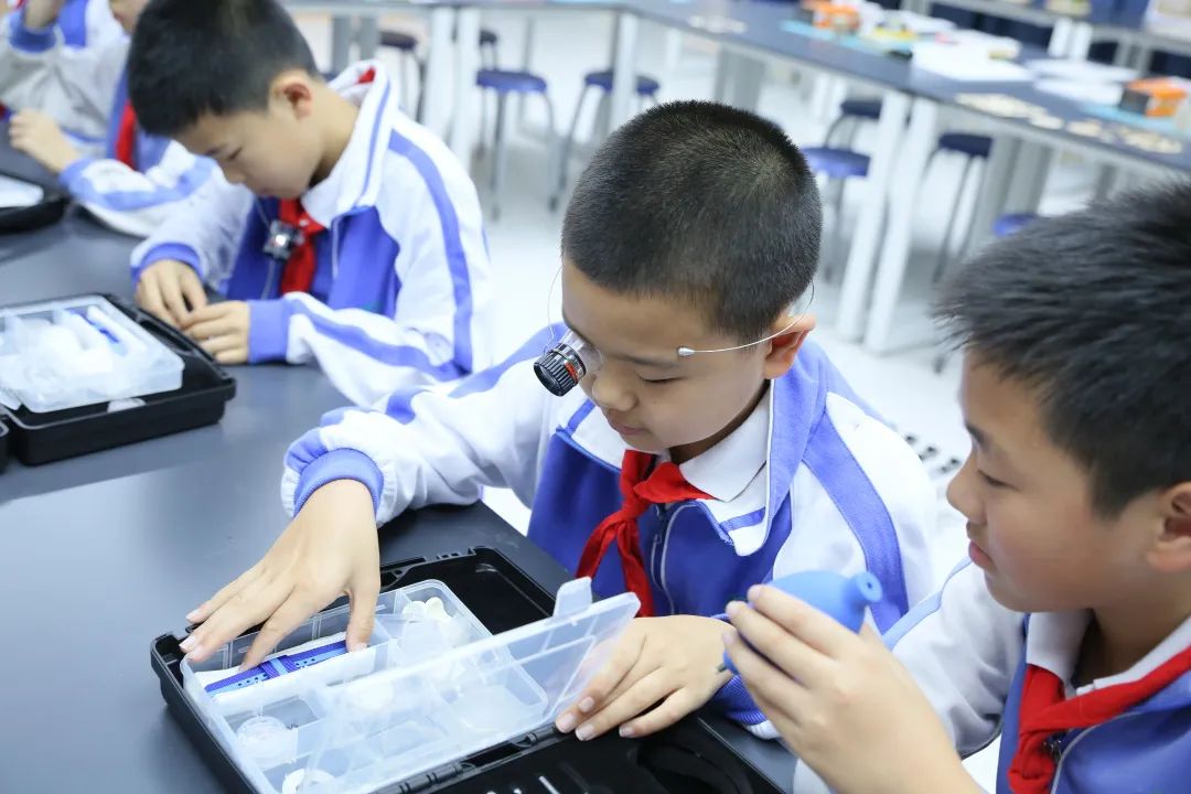 南山这十年丨南油小学:全力打造“生态、智慧、生长”的未来学校