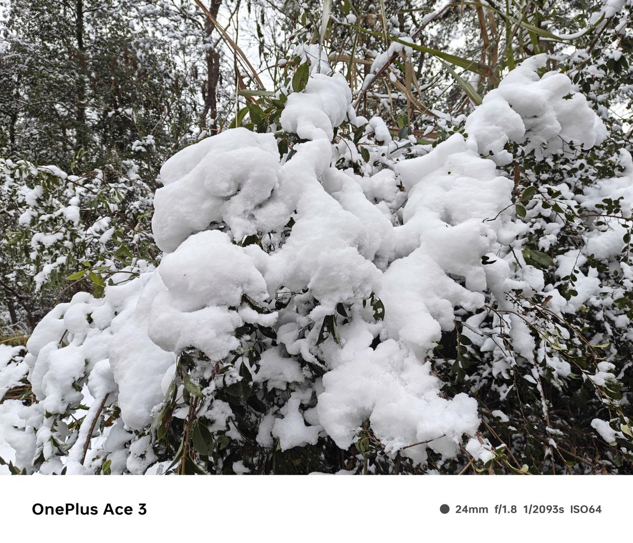 1.5k东方屏,一加ace3深度测评最新