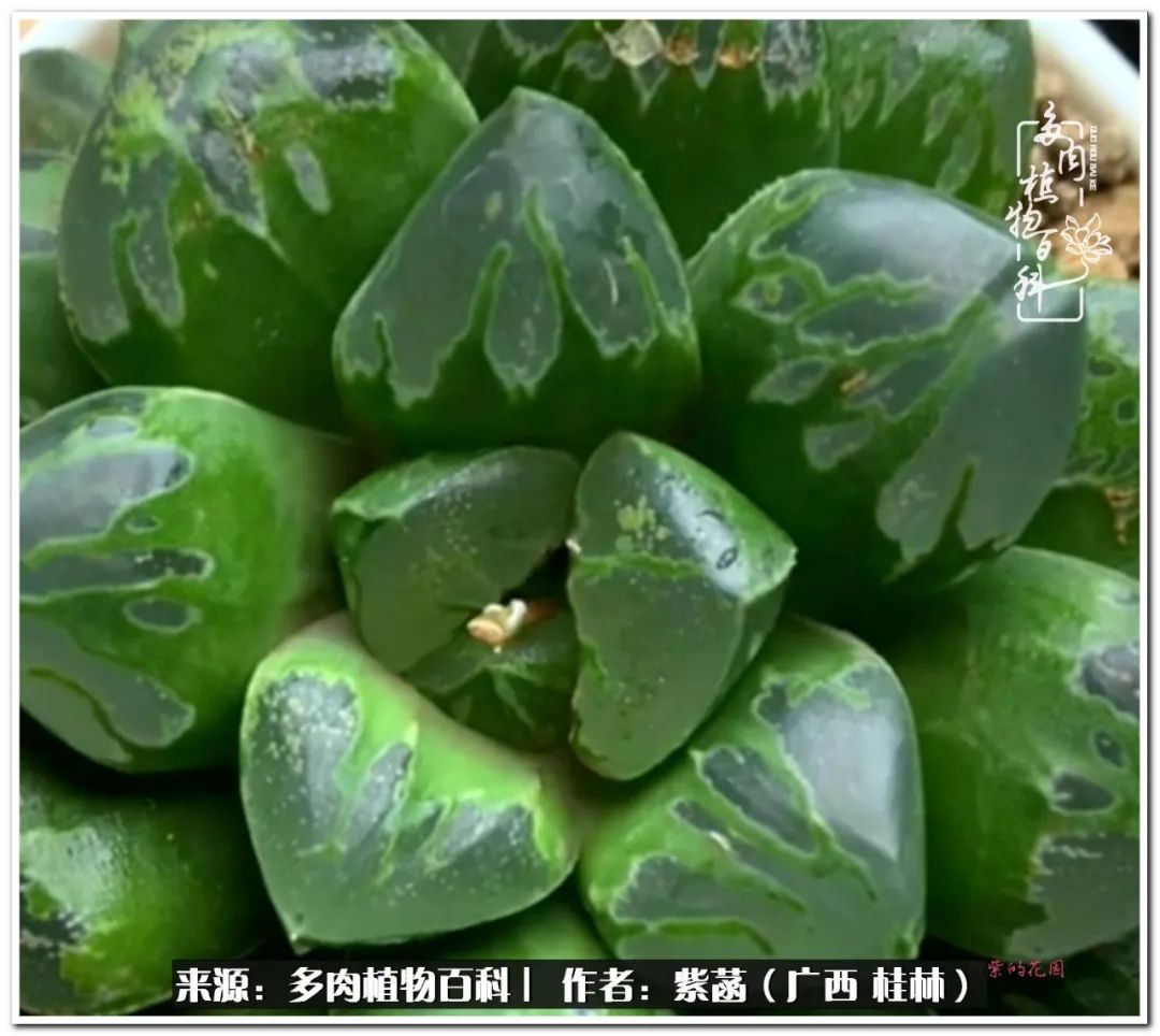 酷暑里的关爱，如十二卷般透亮绵长