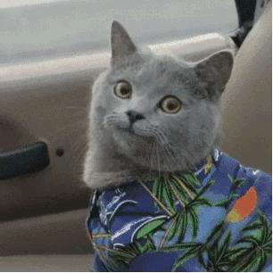 微课堂区分左右,微课堂的特色之处