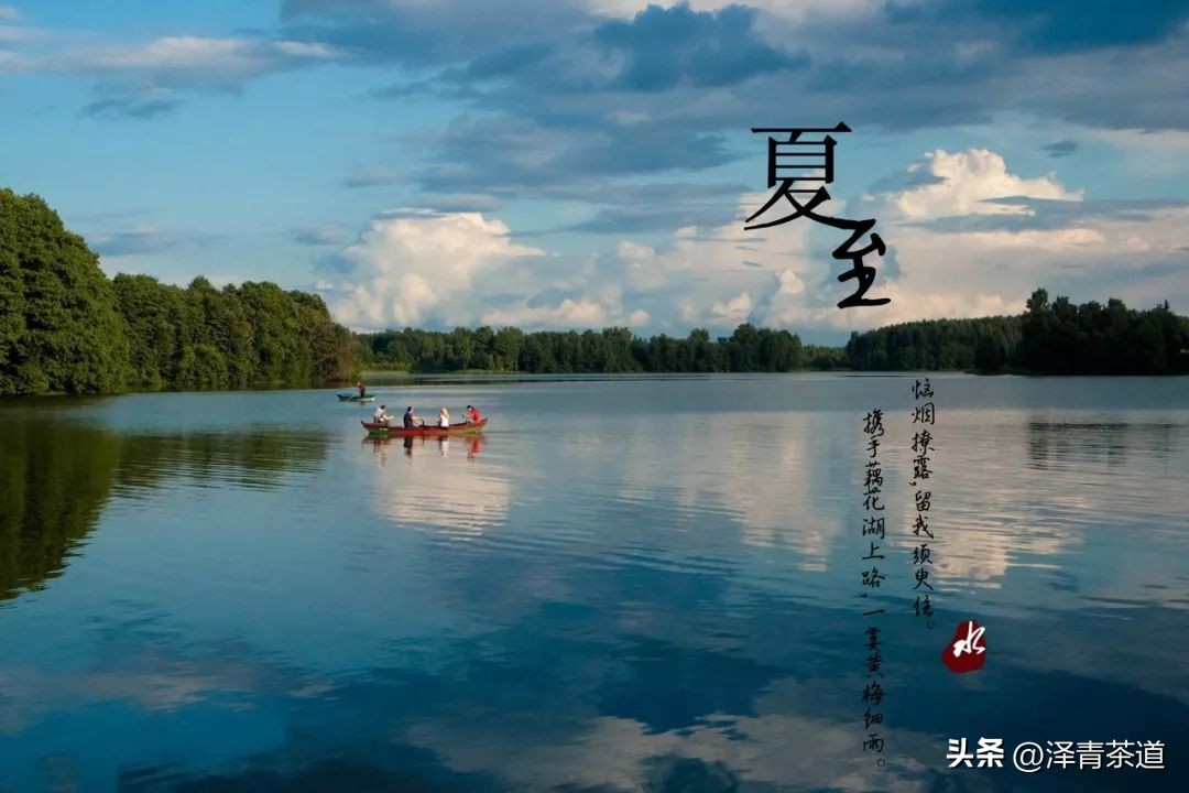 夏至蝉始鸣半夏生全文,夏至蝉始鸣半夏生什么意思