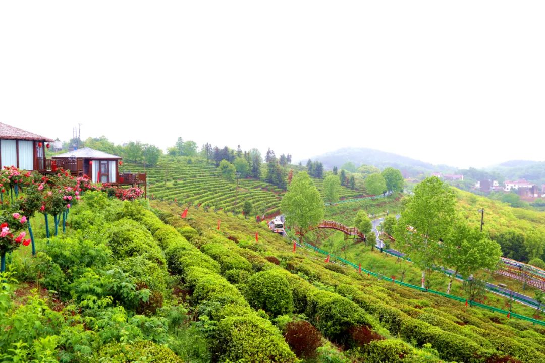 孝昌丰山网红打卡地,孝昌网红打卡景点