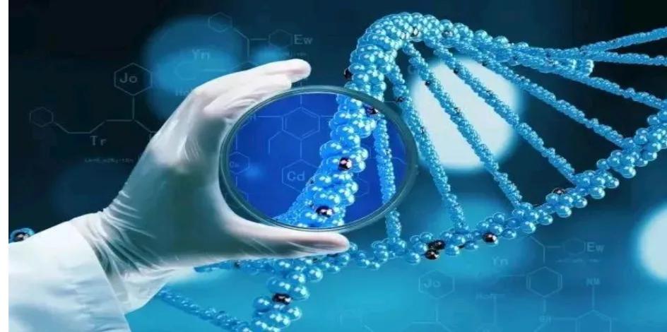 氢气对人体的十大作用,氢气对人体健康作用是什么