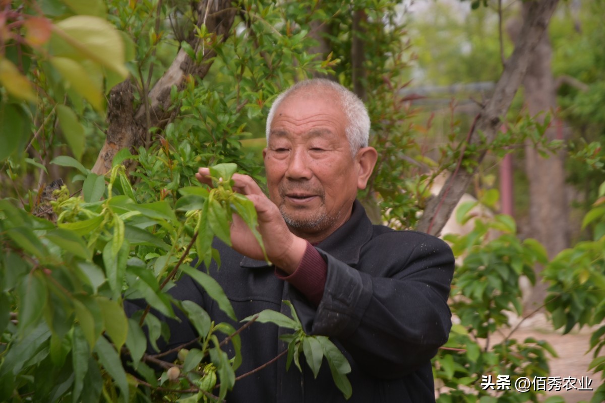 噻虫嗪含量和价格,噻虫嗪是第几代杀虫剂