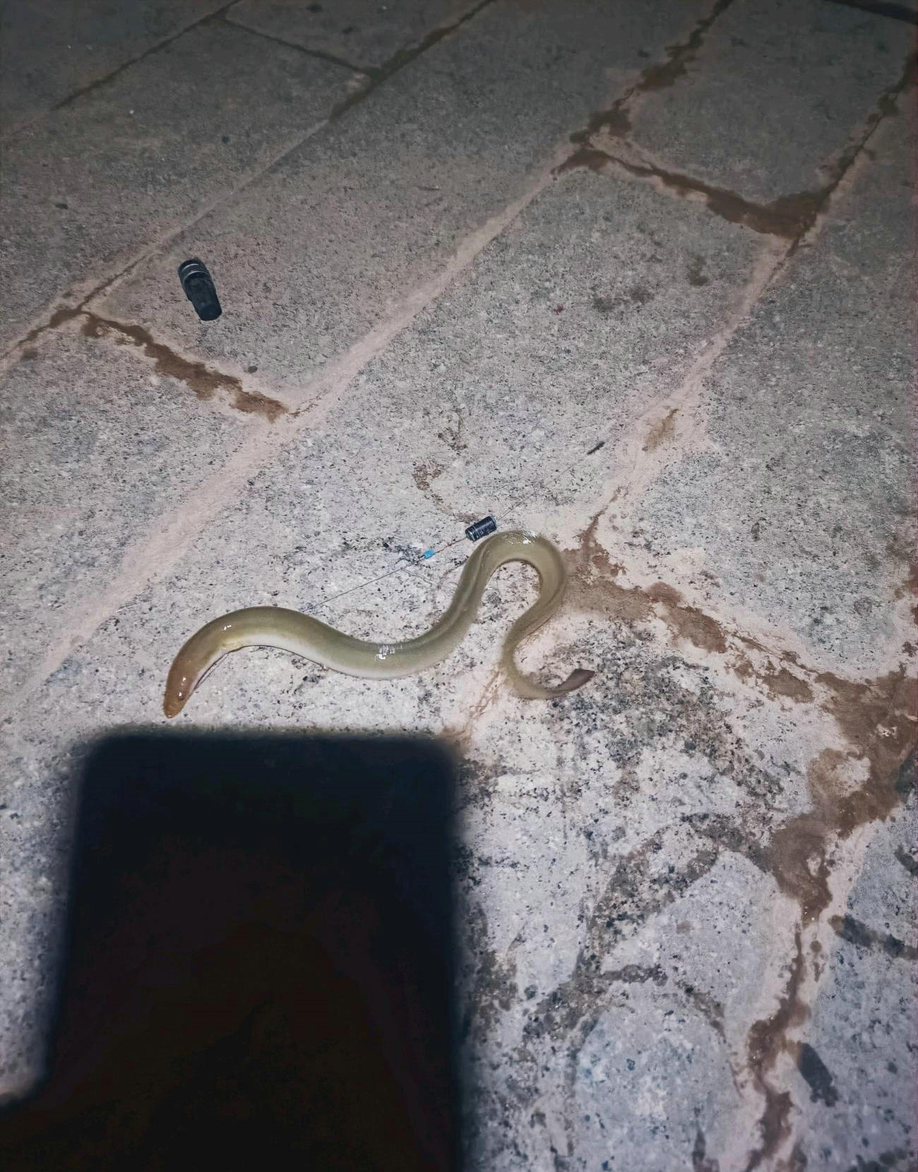 骞胯タ鐢峰瓙閽撲笂鎬奔,骞夸笢鐢峰瓙鍦ㄤ笢姹熼挀璧风綍瑙侀奔