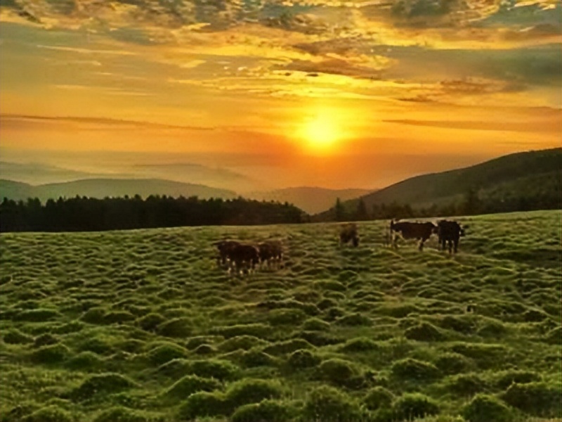 金秋山西旅行攻略,山西国庆出游好地方推荐
