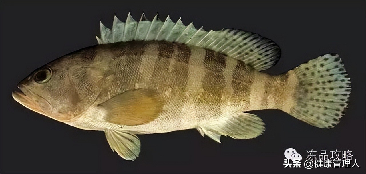 美容护肤食疗方案,美容护肤养生介绍