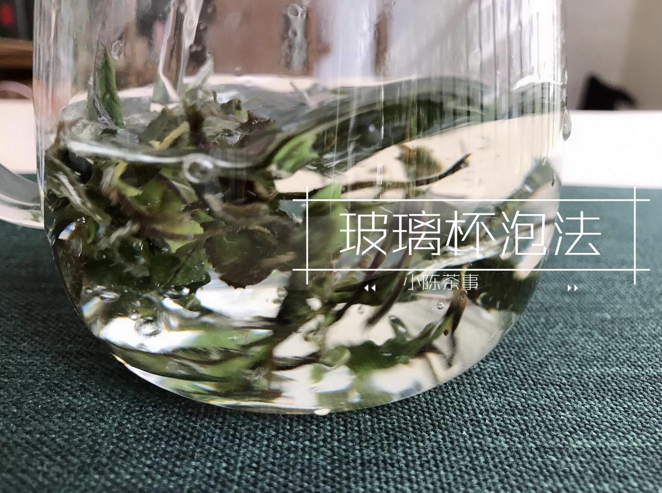 白茶的正确冲泡方法保温杯,玻璃杯白茶的正确冲泡方法