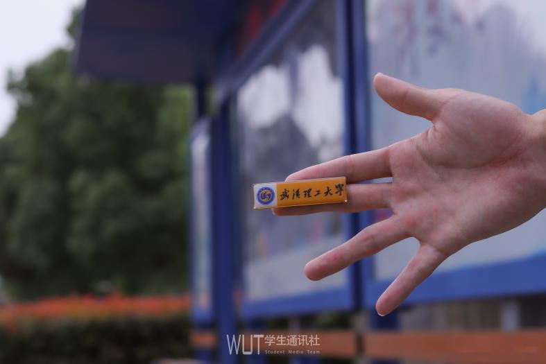 598分2019报考武汉理工大学,报考武汉理工大学需要选什么科