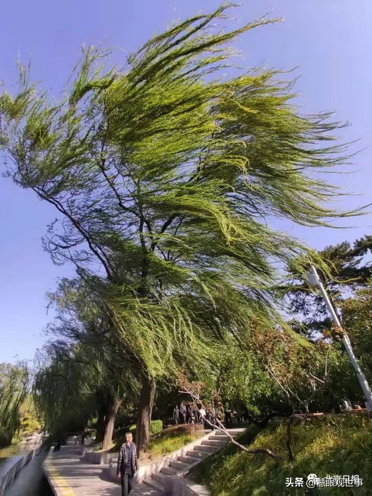 自然现象的古诗词,学生必背古诗词41到60句