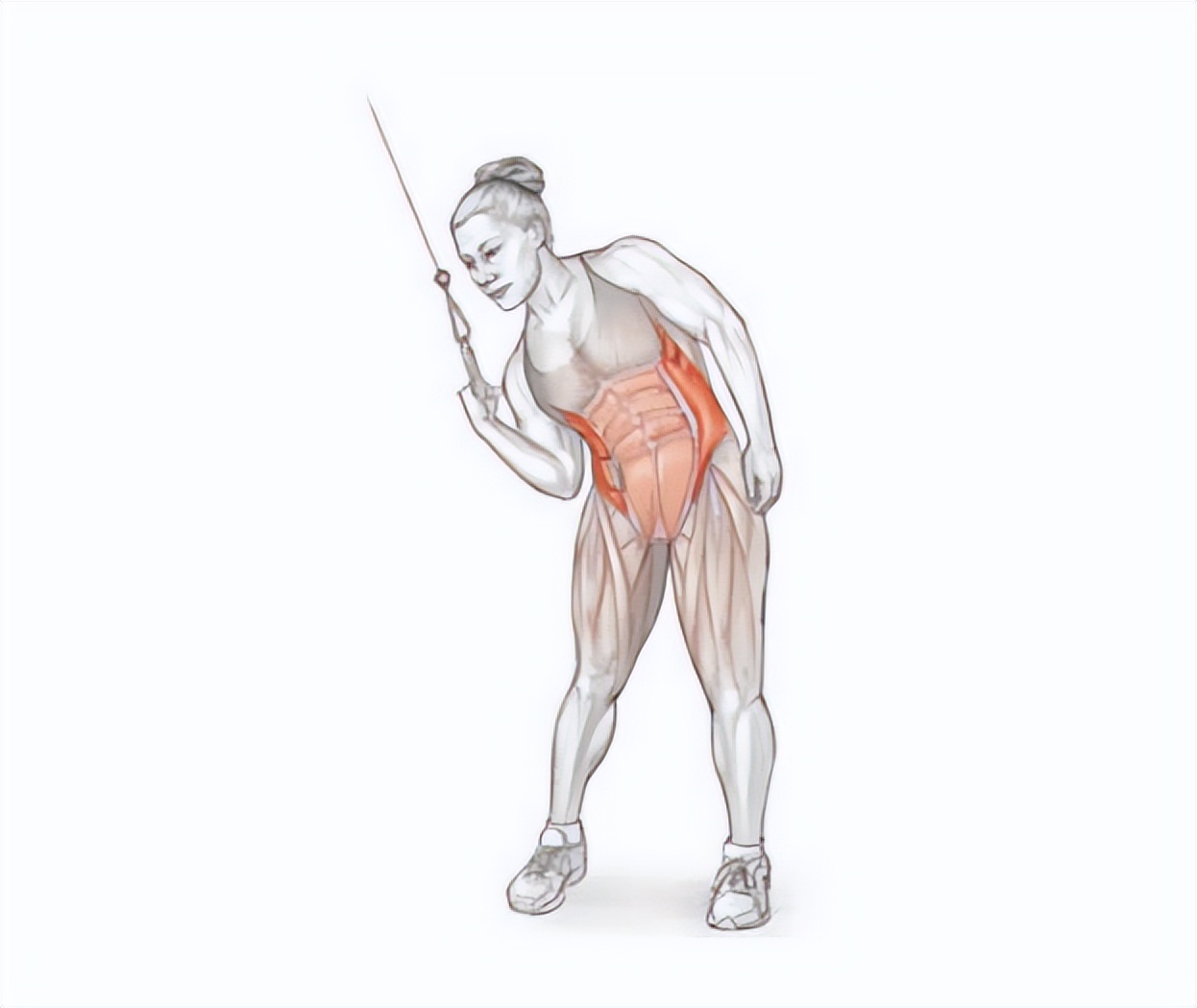 一天就能练出腹肌马甲线的动作,腹肌马甲线练习最佳时间与动作