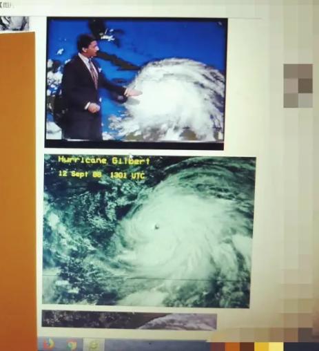 黑虎虾泛滥成灾美国再遭生物入侵,美国泛滥成灾的虎虾