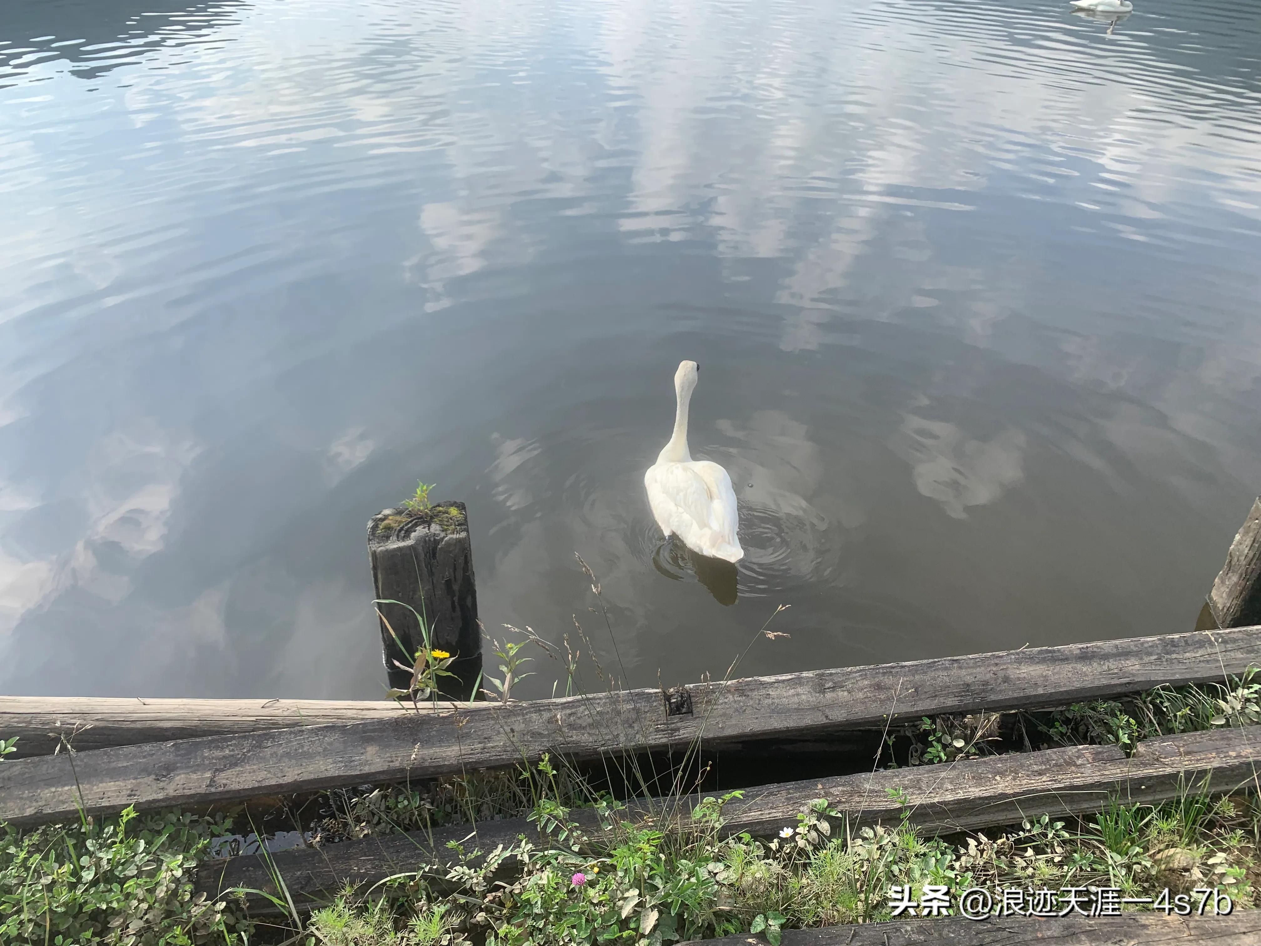 今年五一武汉可以到神农架去吗,武汉到神农架恩施自驾游攻略