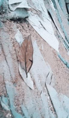 坐高铁遇到旁边老阿姨脱鞋,坐高铁遇到旁边阿姨脱鞋