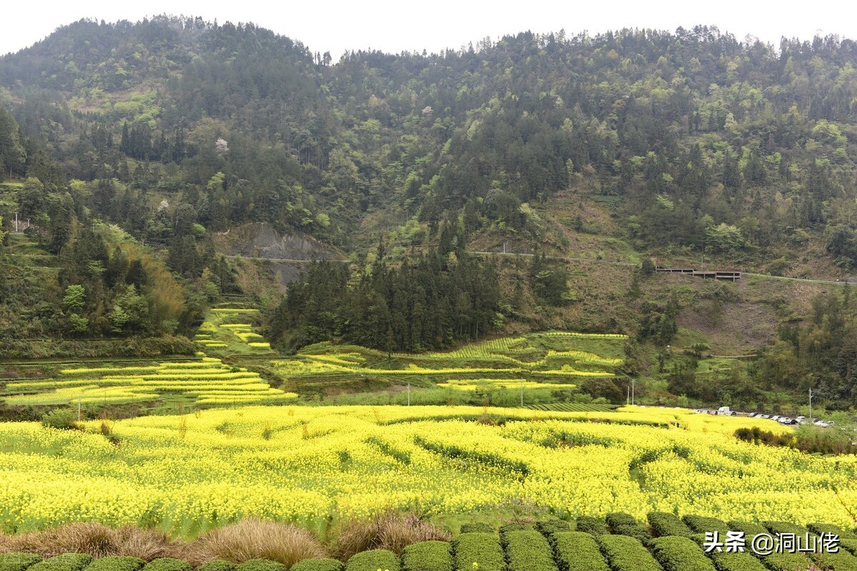 农村有句老话叫人穷别走亲,农村俗语人穷少说话位低别劝人