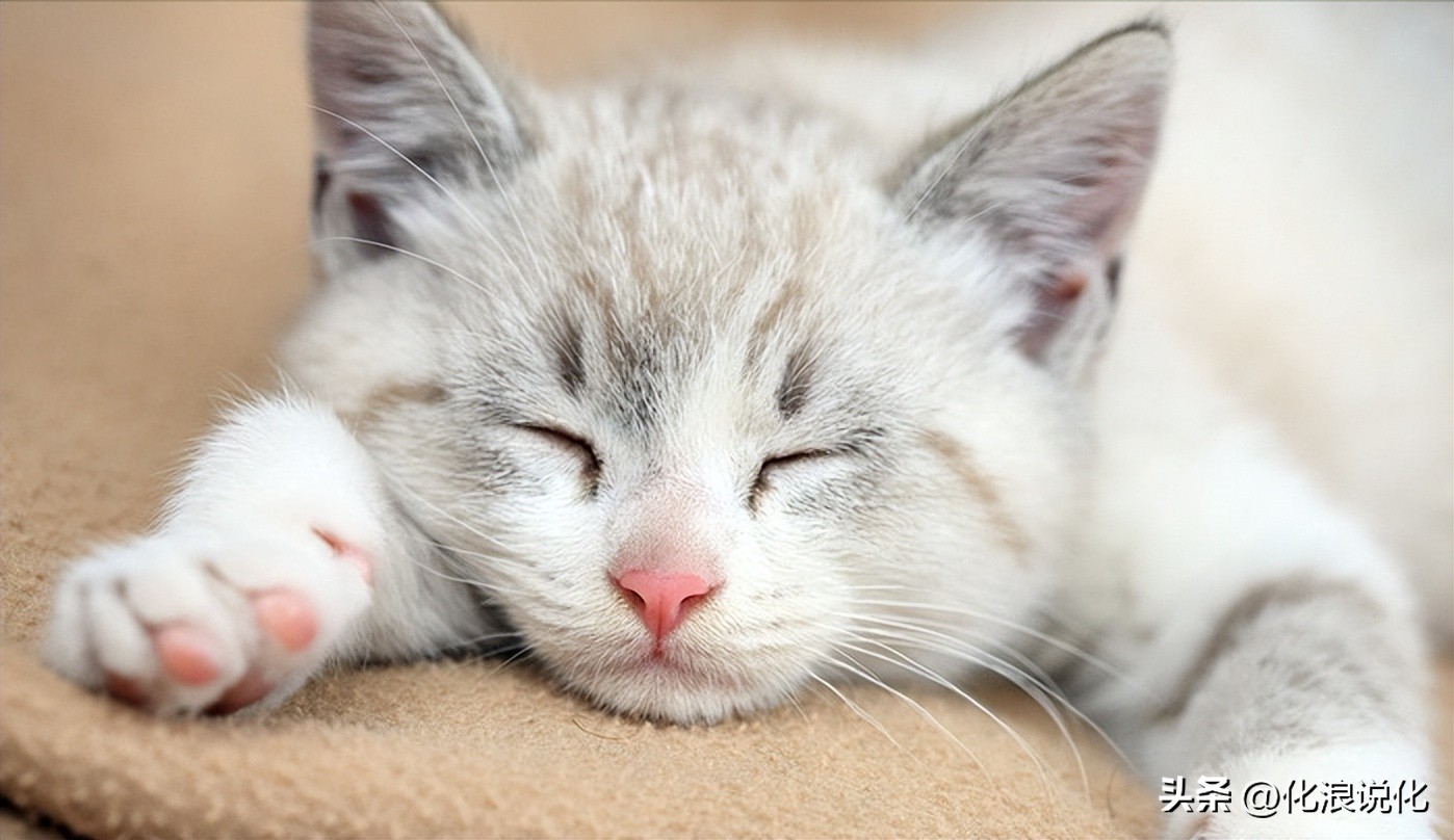 世界杯熬夜看球的正确方法,世界杯已经结束别熬夜看球