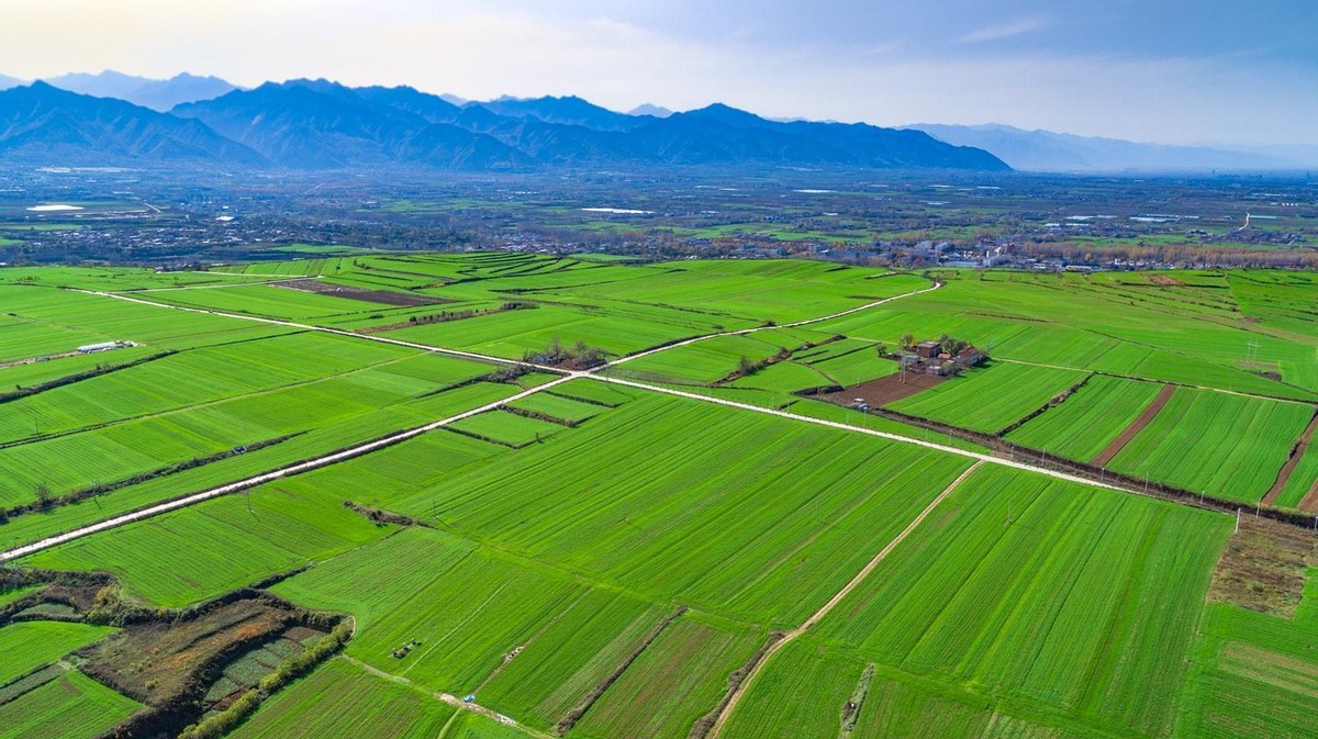天朗董事长孙茵打造民宿,天朗孙茵创业经历