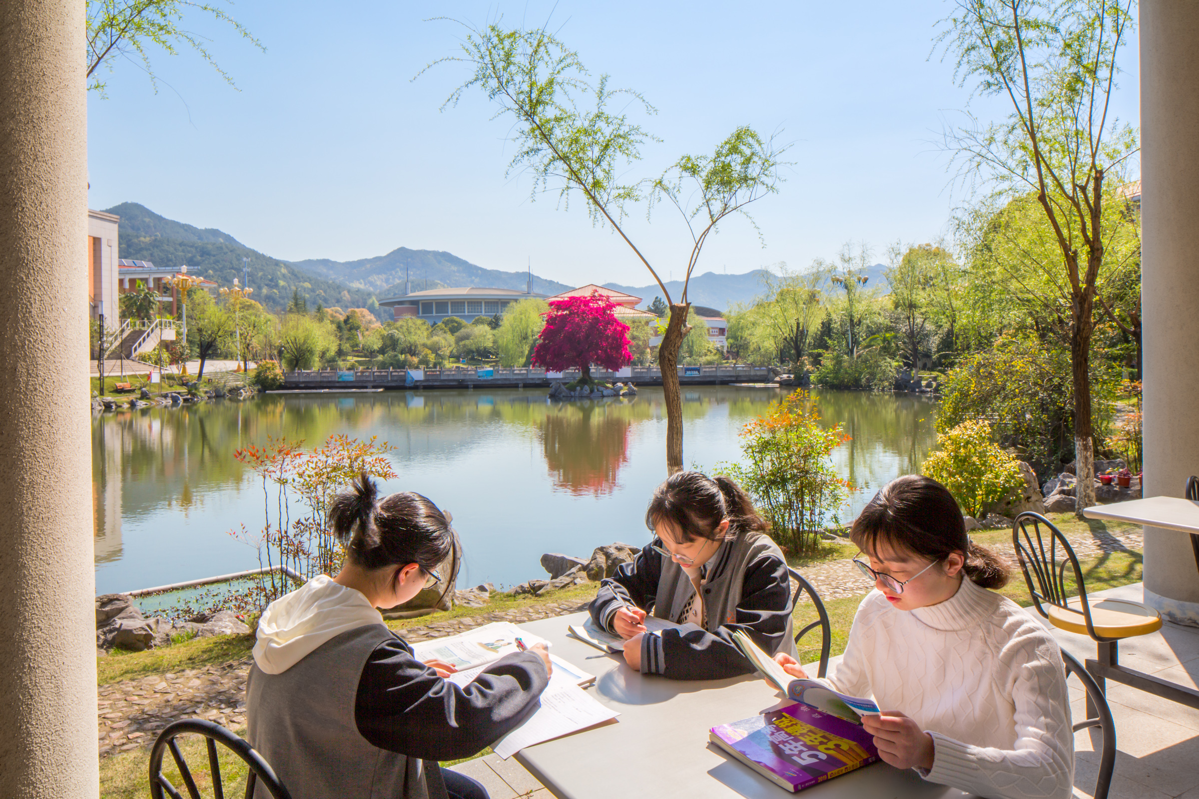 义乌中学实验班录取分数线,义乌中学定向和统招分数线