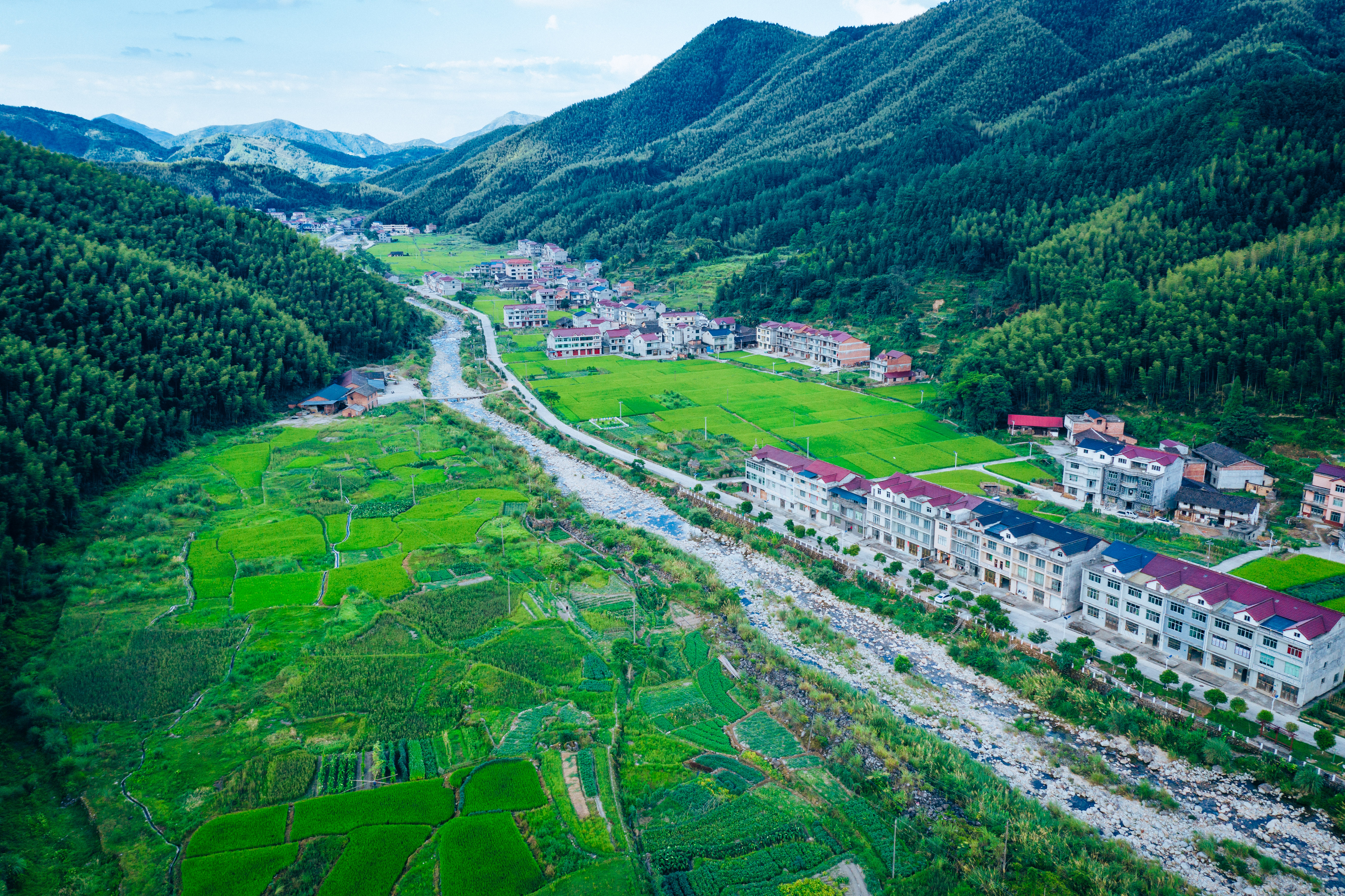 行游五府山：解密3宝，山野美味游走舌尖，传递平实的幸福