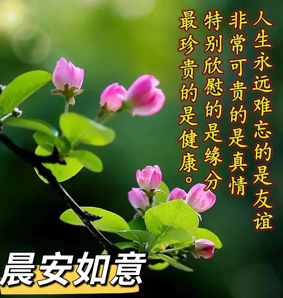 朋友关心问候语暖心感动的句子,问候祝福朋友开心快乐的温馨句子