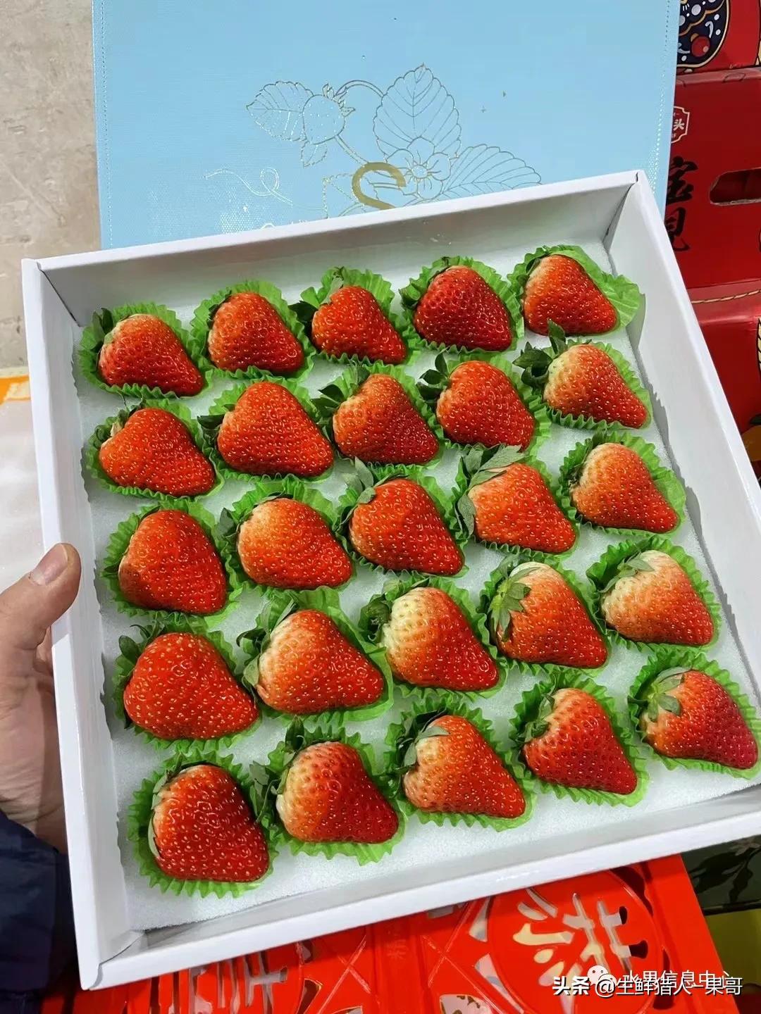 在水果中浆果是分哪几种,水果分类浆果