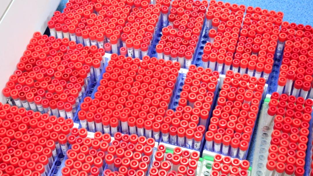 濮阳县人民医院：角落盛开英雄花