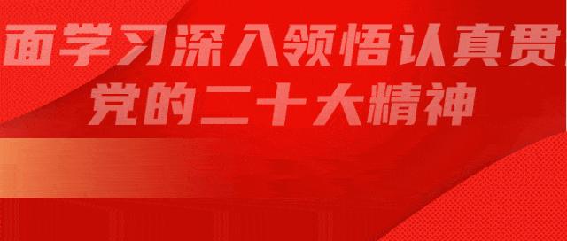 乡村振兴蓄势腾飞产业项目,乡村振兴下的产业与项目发展
