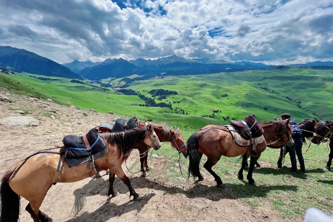 从伊犁出发的南北疆旅游攻略,火爆的新疆游