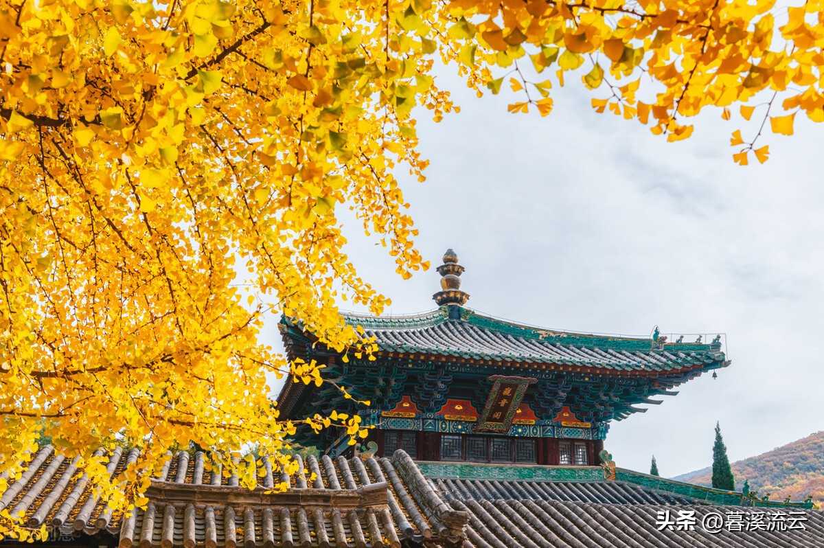 感恩师恩重于山的诗句,感师恩传师德颂师魂作业题目