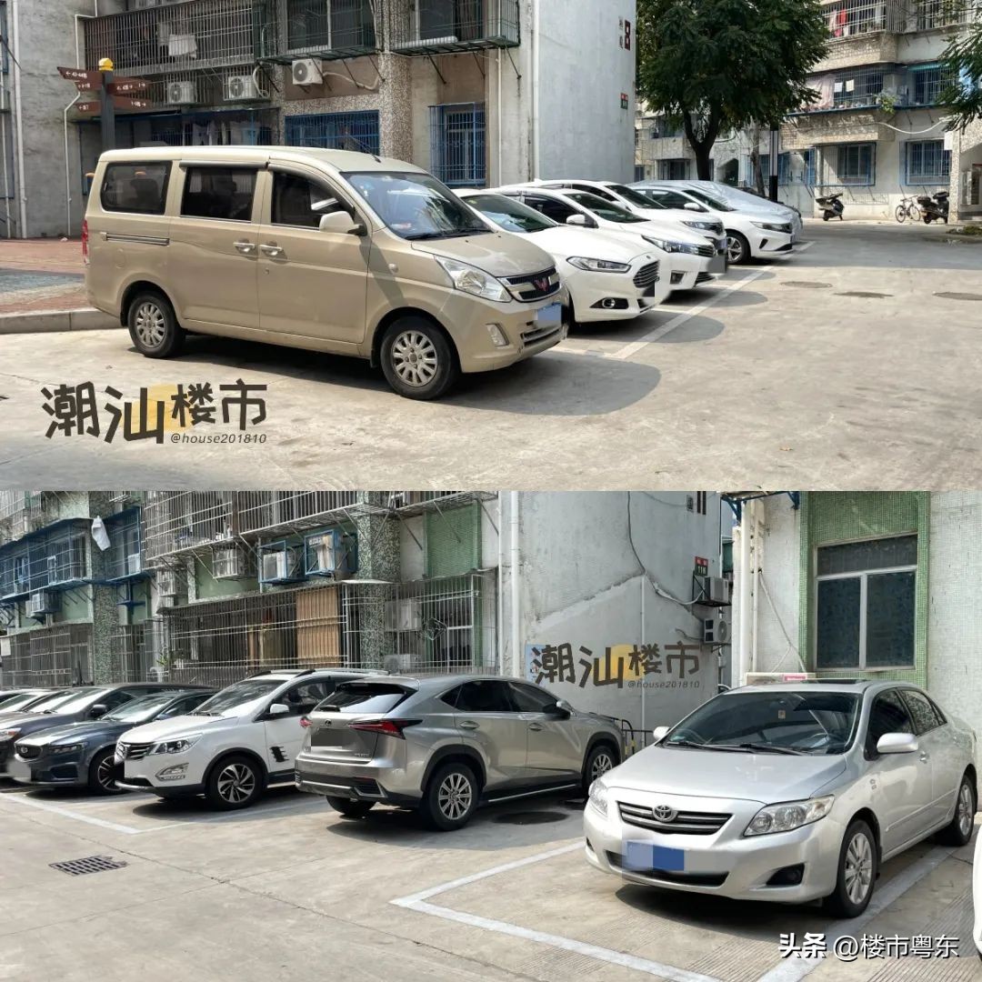 “指南里”一夜爆红！汕头桃园小区申请红花老姨出战！