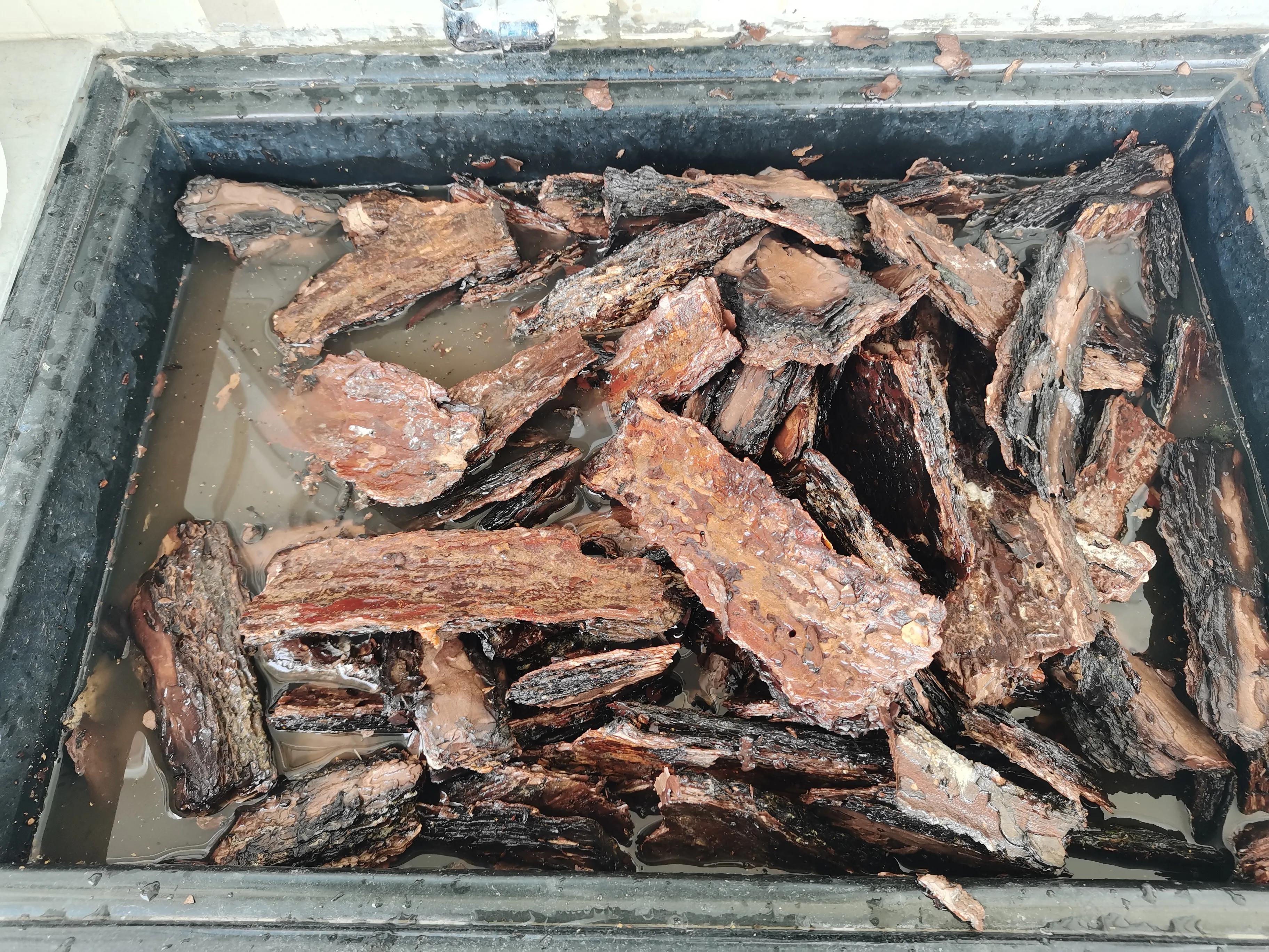 捡来的树皮怎么杀菌,捡了的树皮如何处理