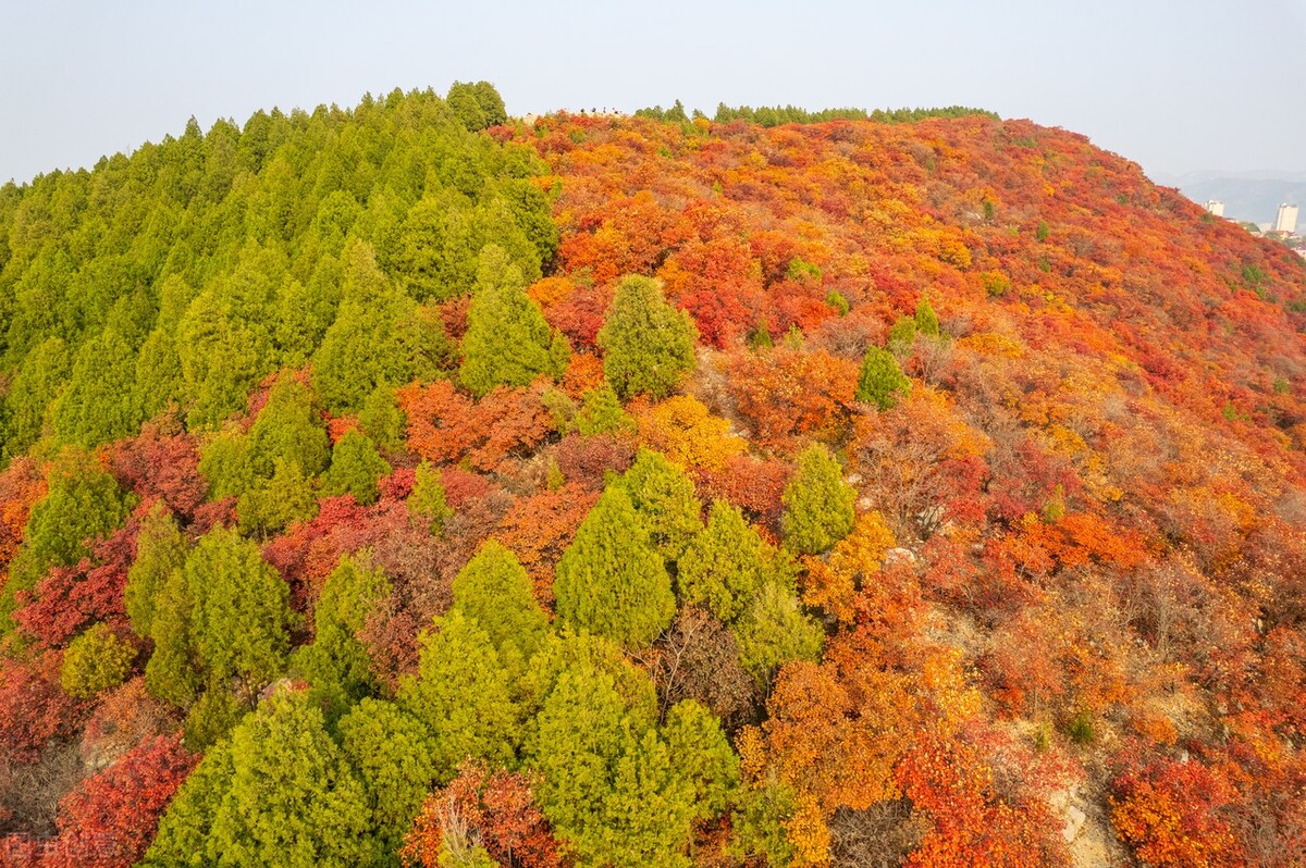 没想到济南的秋天竟然可以这样美,秋天济南哪个景区最美
