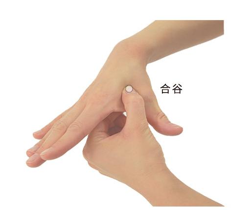 首创312经络锻炼法的祝教授今年100岁了，80多岁时他说工作到99岁