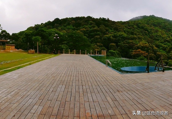 广西一个县，被誉为“中国香蕉之乡”，网友：可以去看看