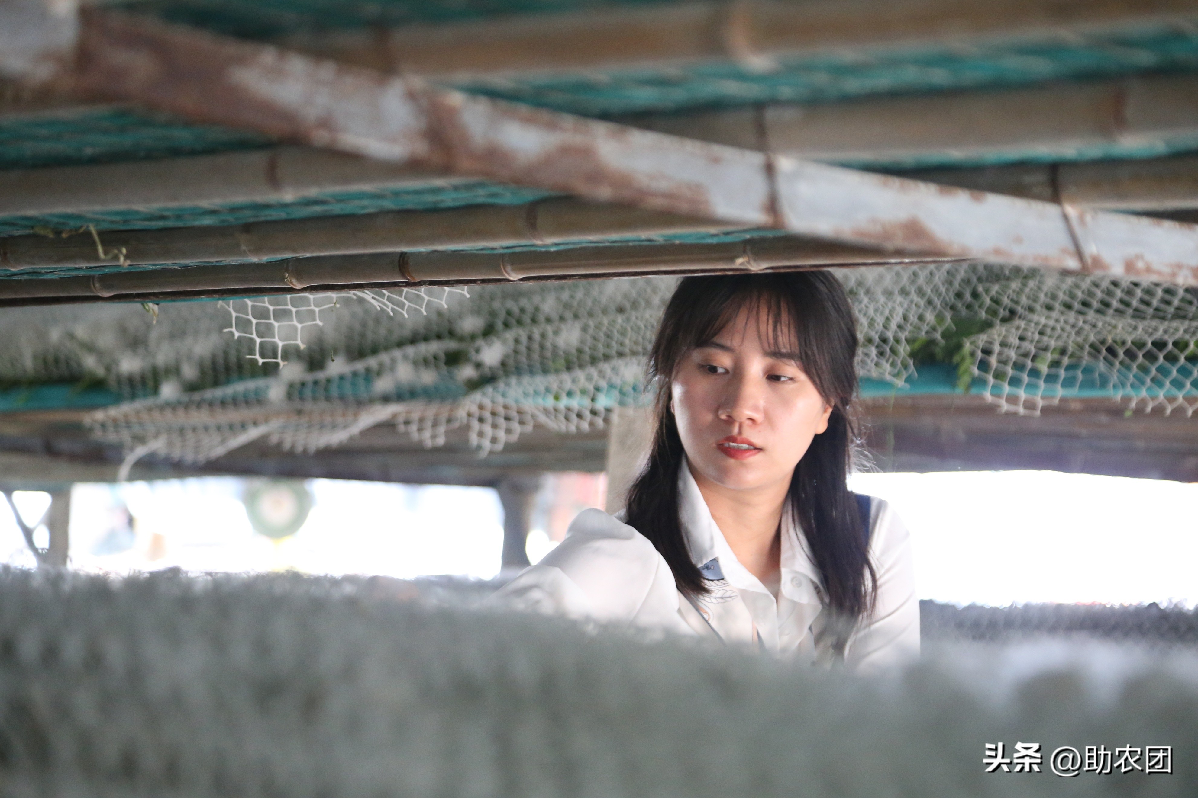 轮椅女孩创业致富,轮椅女人创业视频