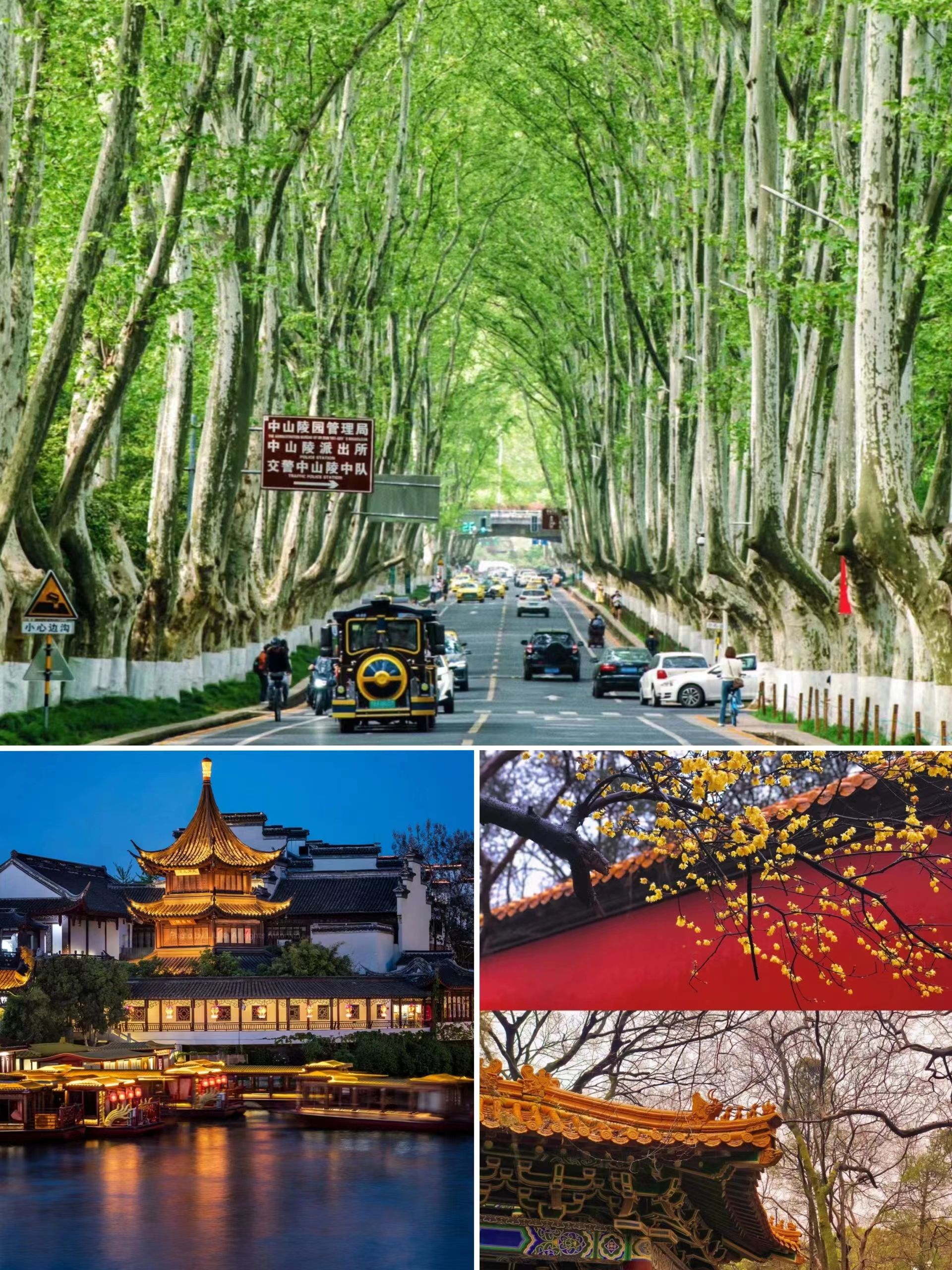 暑假南京3天2晚旅游攻略,暑假去南京玩一般提前几天订酒店