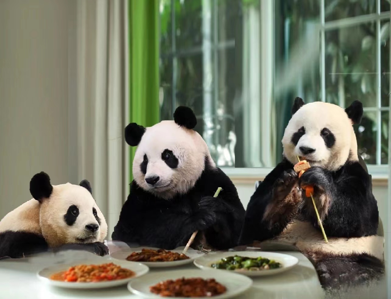 近期福宝和姜爷爷的视频,福宝回国姜爷爷和宋爷爷上热搜