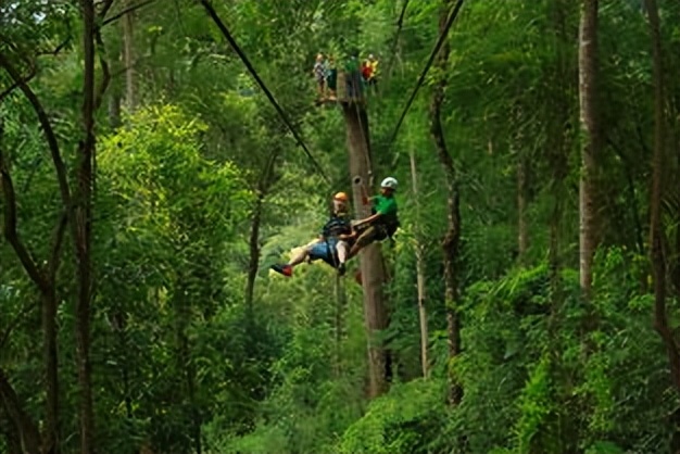 如果你突然被蛇吞下，能否划开蛇肚出逃？科学家作死实验走进蛇窝