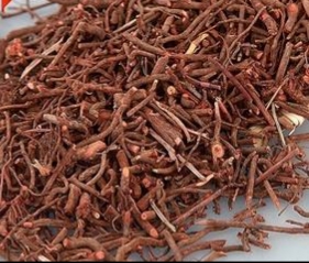 茜草是什么的根,茜草是怎样的植物