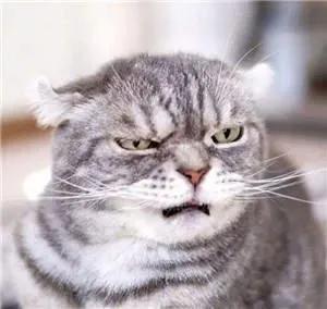 儿童节奇奇怪怪可可爱爱文案,可可爱爱但又不失酷酷的文案