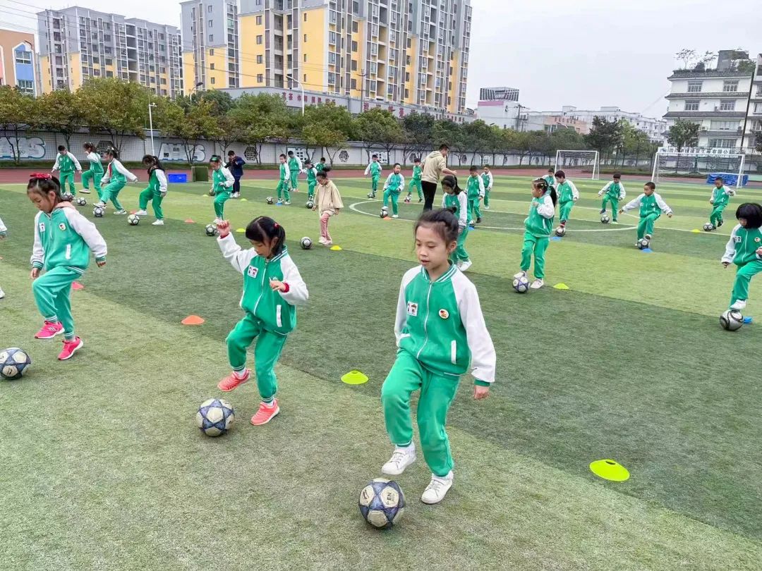 双华小学双流,成都市双流区双华小学
