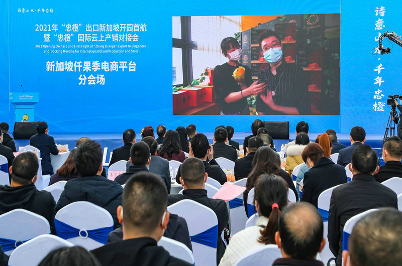 忠县忠橙,忠县忠橙专卖店地址