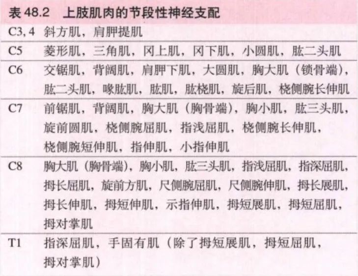 脊神经支配区域解剖图简图,脊神经及其分支的支配范围