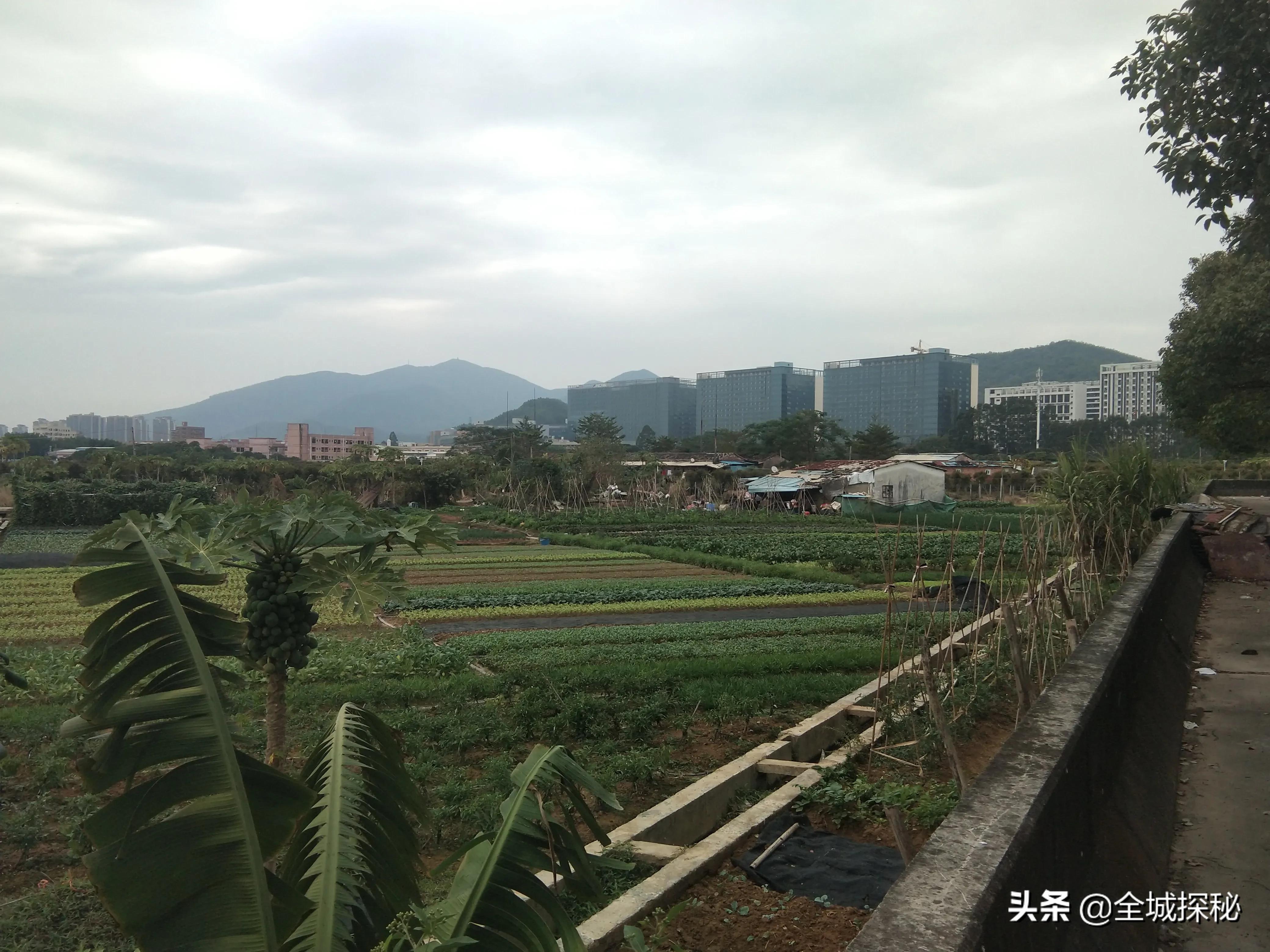 “村中城”东莞：故乡回不去，打工人把东莞打扮成了故乡